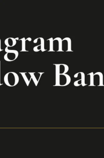 Instagram Shadow Ban 