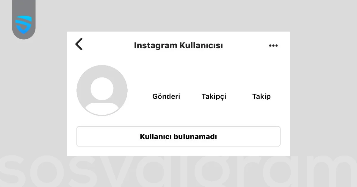 Instagram Kullanıcı Bulunamadı Ne Demek